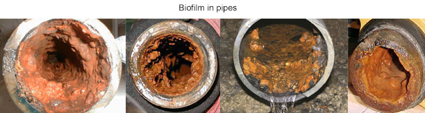biofilm pipes